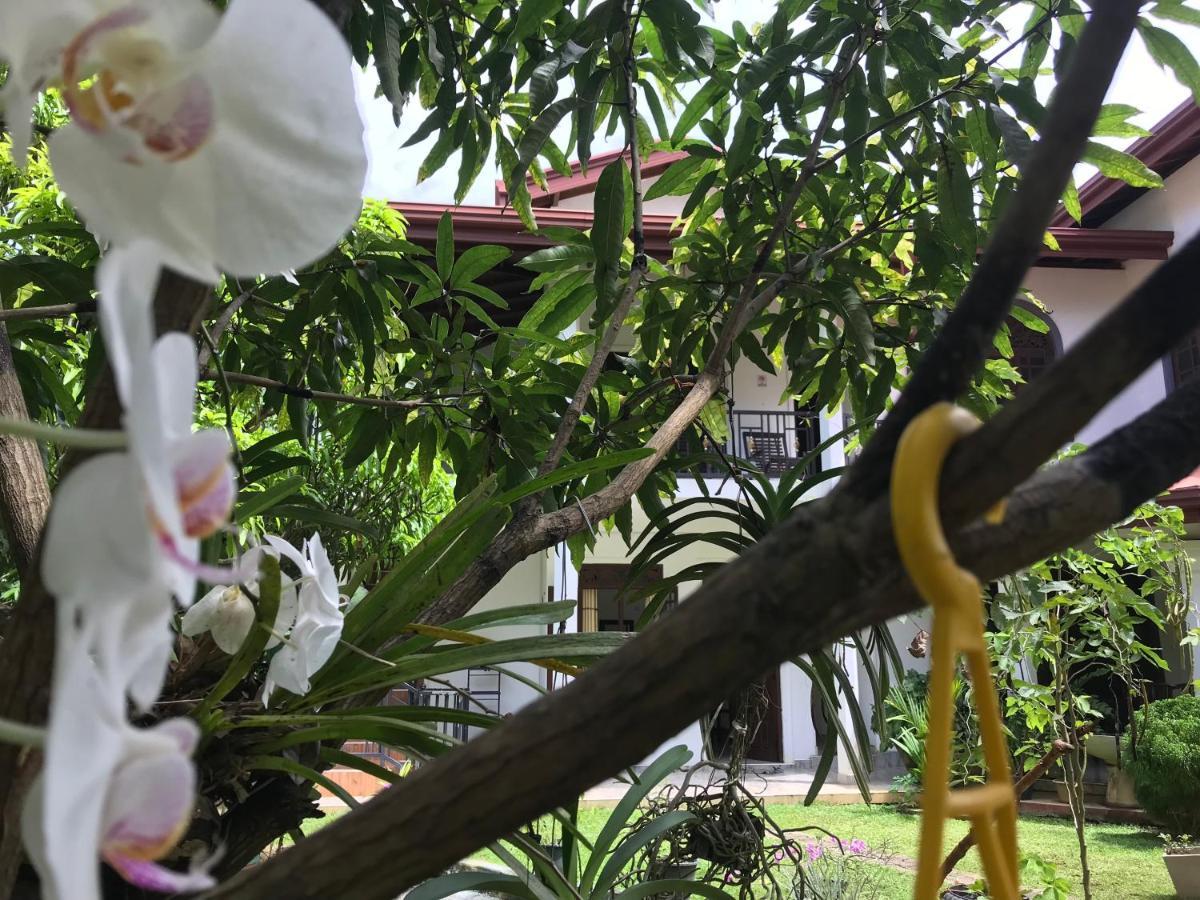 Green Edge Residences Dambulla Luaran gambar